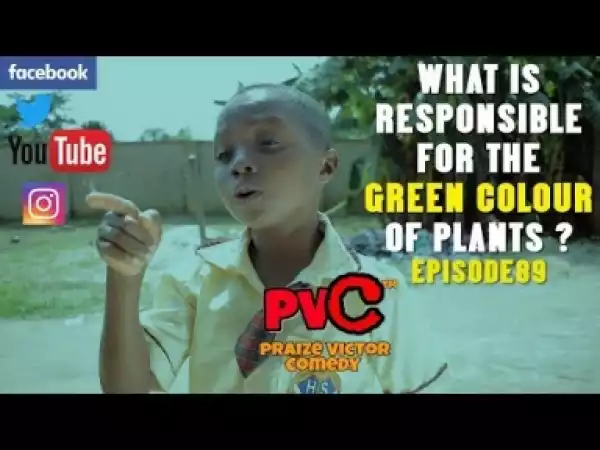 Video: PVC Comedy - What